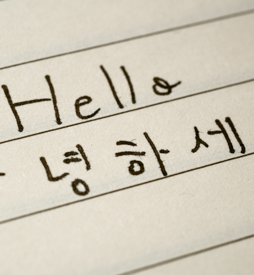 Blue Yellow Simple Diving Promotion Instagram Post (3)